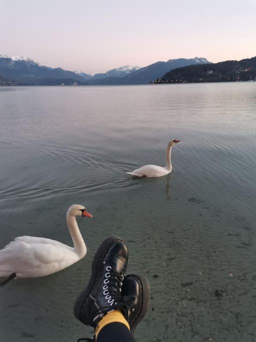 Ferienwohnung Cocon A La Campagne,Proche Annecy Alby-sur-Cheran Exterior foto