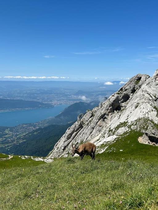 Ferienwohnung Cocon A La Campagne,Proche Annecy Alby-sur-Cheran Exterior foto