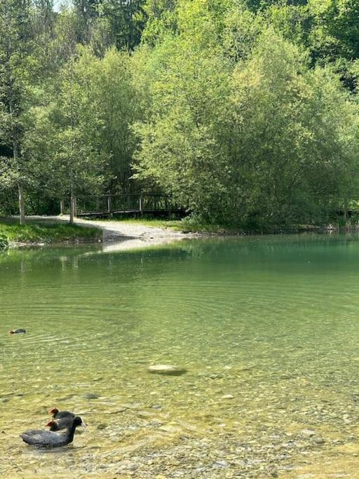 Ferienwohnung Cocon A La Campagne,Proche Annecy Alby-sur-Cheran Exterior foto